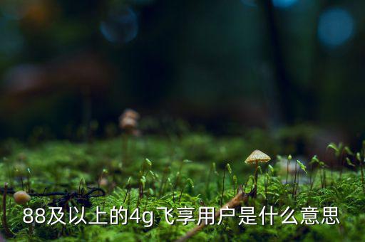4g用戶是什么意思，88及以上的4g飛享用戶是什么意思