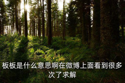 要板了是什么意思，板板是什么意思啊在微博上面看到很多次了求解