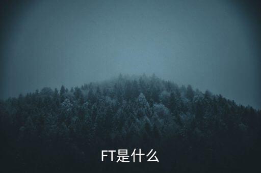 什么是FT調(diào)查，F(xiàn)T是什么