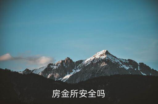 房金所平臺背景是什么，房總管金融有了解他是什么背景的嗎目前做公寓資金遇到了一些問題