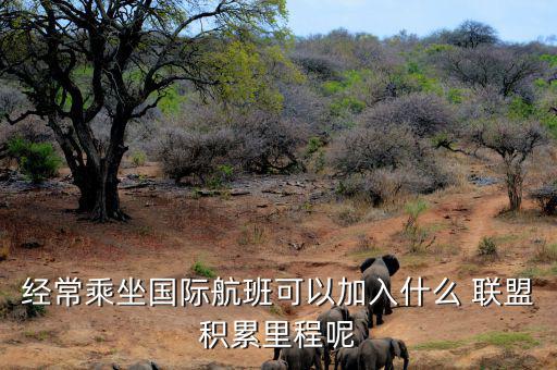 星空聯(lián)盟積分怎么算,南航、東航可通過明珠卡共享積分等
