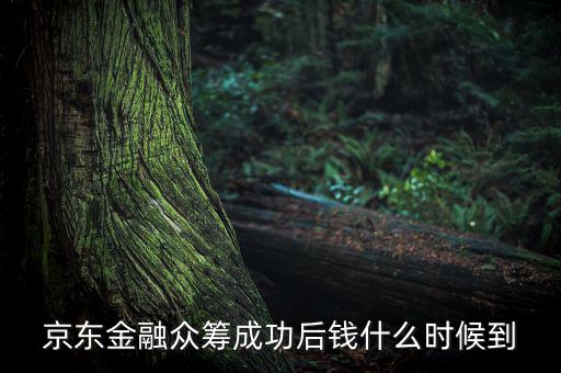京東金融活動什么時候結(jié)束，金條的活動什么時候結(jié)束啊