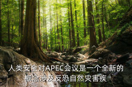 2014apec峰會(huì)簽署了什么文件，亞洲和太平洋地區(qū)經(jīng)濟(jì)合作會(huì)議簡(jiǎn)稱(chēng) APEC