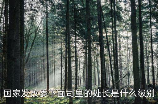 央企處長(zhǎng)是什么級(jí)別，央企比如移動(dòng) 電信 聯(lián)通 中石油石化 這些企業(yè)縣的老總是什么級(jí)別