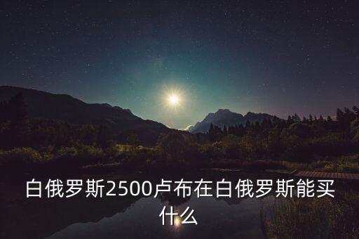 白俄羅斯盧布50可以買什么，白俄羅斯2500盧布在白俄羅斯能買什么