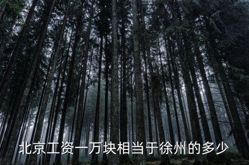 北京月薪1萬什么概念，在北京月薪1萬算高嗎