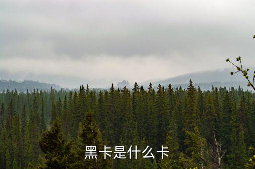 銀行卡黑卡是什么級別，黑卡是什么卡