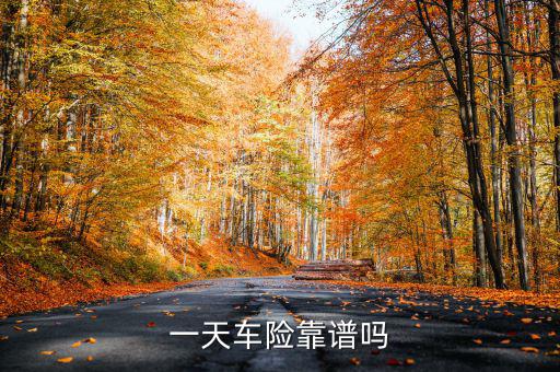 一天車險是什么，一天車險怎么停駛才有錢