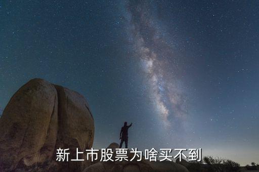 為什么買不了新股，新股申購為什么買不了