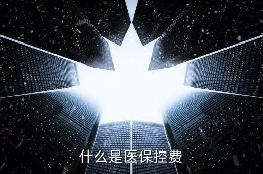 什么是醫(yī)保控費