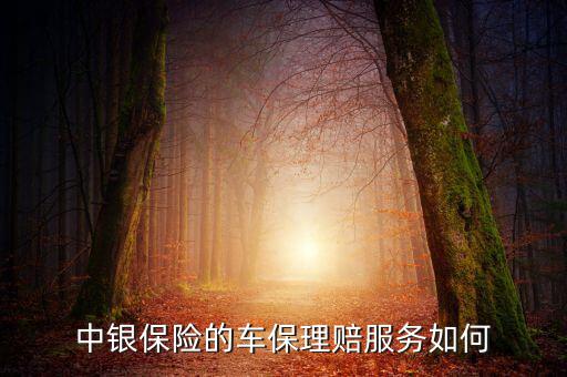 中銀保險(xiǎn)車險(xiǎn)vip客戶有什么權(quán)利，中銀保險(xiǎn)的車保理賠服務(wù)如何