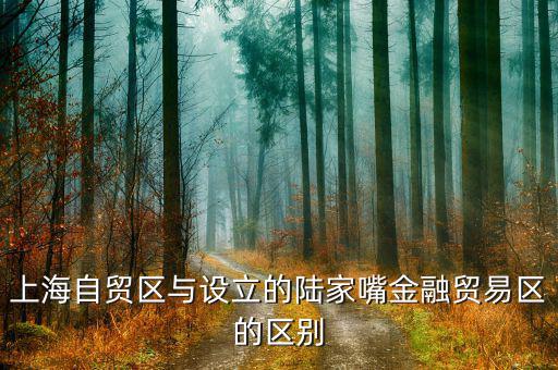 陸家嘴金融貿(mào)易區(qū)有什么，上海自貿(mào)區(qū)與設(shè)立的陸家嘴金融貿(mào)易區(qū)的區(qū)別