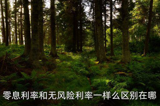 即期利率是什么，定期的利息和國期的利息是什么