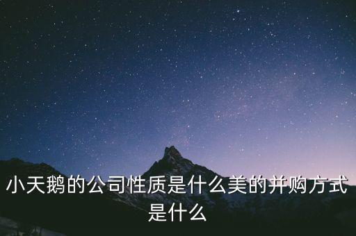 天鵝有什么并購案，小天鵝 合并的品牌