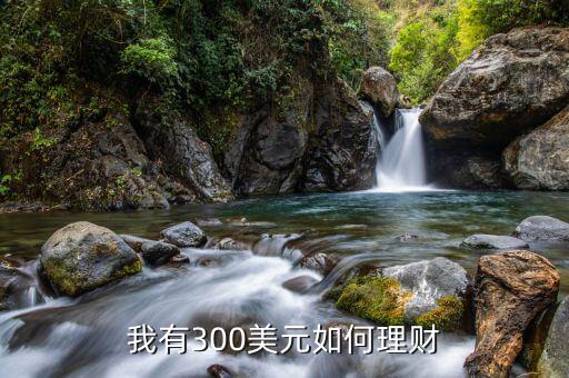 美元升值做什么理財(cái)，原創(chuàng)美元拼命升值到底要干什么