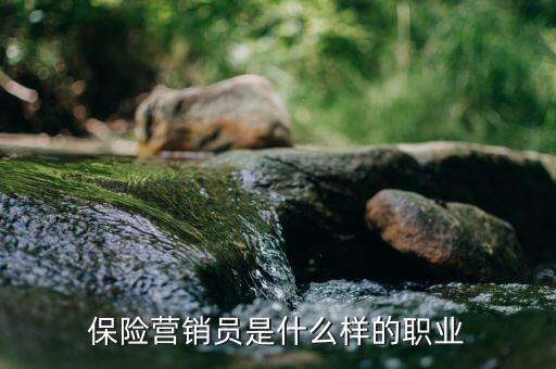 保險(xiǎn)承銷(xiāo)員是什么，保險(xiǎn)營(yíng)銷(xiāo)員是干什么的