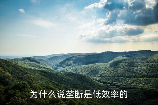 壟斷的無(wú)效率是什么，為什么說(shuō)壟斷會(huì)導(dǎo)致低效率