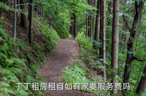 丁丁租房都收取什么費(fèi)用，丁丁租琴的費(fèi)用怎么算