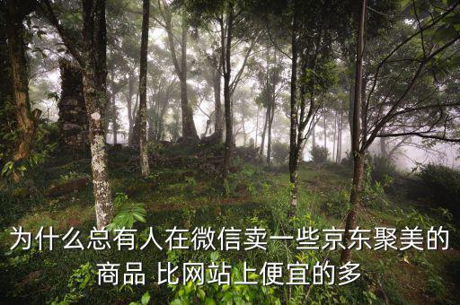 為什么聚美的價格便宜，聚美優(yōu)品怎么這么便宜