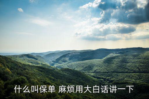 什么是保單，什么是保單