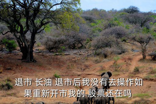  退市 長(zhǎng)油 退市后我沒(méi)有去操作如果重新開(kāi)市我的 股票還在嗎