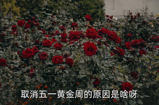 五一黃金周為什么取消，為什么取消五一黃金周