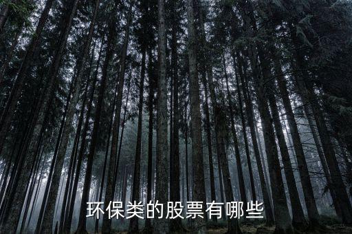 環(huán)保類(lèi)的股票有哪些