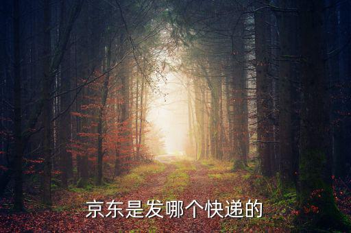京東自營是發(fā)什么快遞，京東的自營產(chǎn)品一般發(fā)什么物流先謝謝大家了