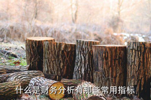 分析性指標(biāo)是什么，EXPMA指數(shù)是什么意思