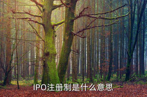 ipo注冊制是什么意思，IPO注冊制是什么意思和審批制有什么區(qū)別