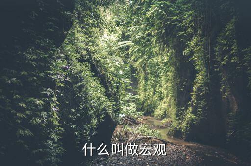 宏觀是指什么方面，什么叫做宏觀