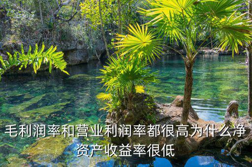 資產(chǎn)凈利率較低是為什么，為什么利潤率高資產(chǎn)收益率卻低