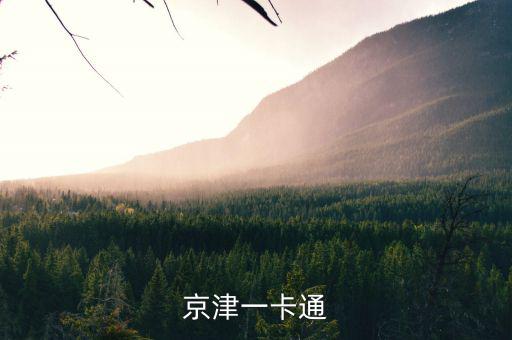 京津冀公交卡一體卡是什么樣子的，在北京辦的藍色的公交卡是可以在石家莊所有公交用了嗎還是說京津
