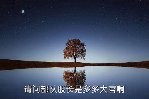 請(qǐng)問部隊(duì)股長是多多大官啊