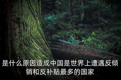 是什么原因造成中國是世界上遭遇反傾銷和反補貼最多的國家