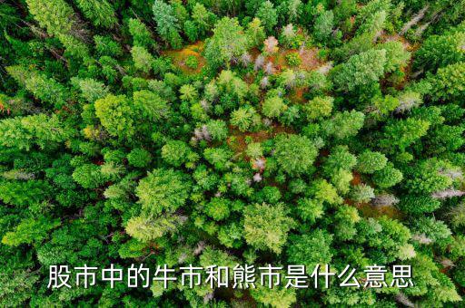 熊市的意思是什么，股市中的牛市和熊市是什么意思