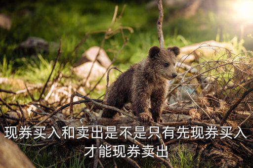 成交回報(bào)是什么，什么叫回報(bào)