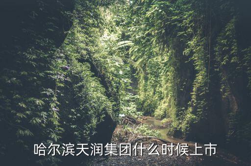 天潤乳業(yè)什么時候上市，哈爾濱天潤集團什么時候上市