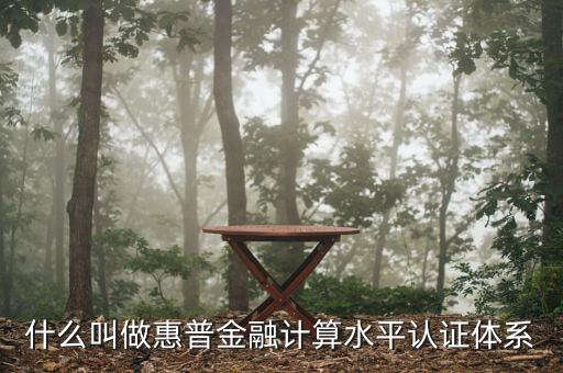 惠普金融是什么，普惠金融是什么意思