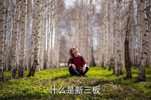 股票發(fā)行新三版是什么版塊，什么是新三板