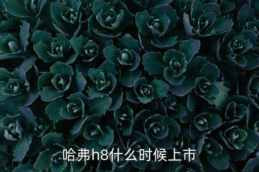 哈佛h8什么時候上市的，哈弗h8什么時候上市