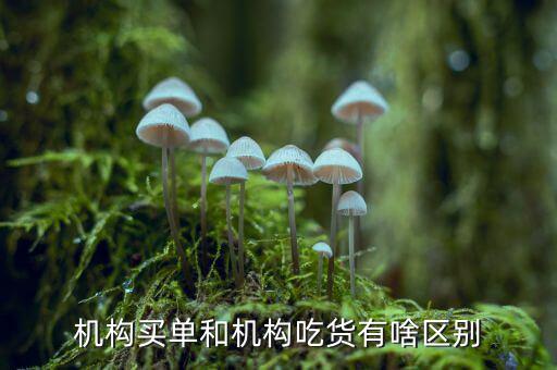 什么軟件盤中怎么樣看見機(jī)構(gòu)吃貨，怎樣查看某支具體股票的機(jī)構(gòu)吃貨指標(biāo)
