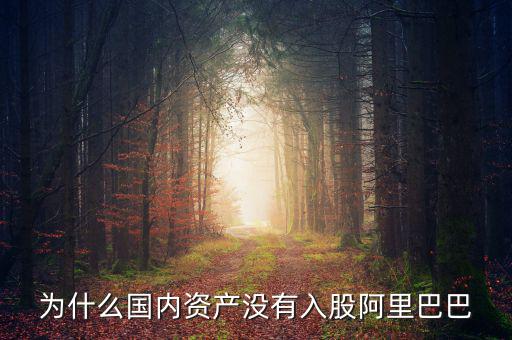 當(dāng)初為什么沒(méi)投阿里巴巴，為什么國(guó)內(nèi)資產(chǎn)沒(méi)有入股阿里巴巴