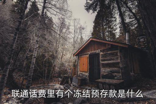 凍結(jié)預(yù)存款是什么意思，聯(lián)通話費里有個凍結(jié)預(yù)存款是什么