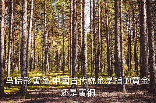 中國(guó)古代的黃金是什么，古代中國(guó)都使用了哪些金屬