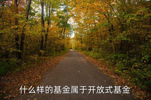 開放式基金是什么，什么叫做開放式基金