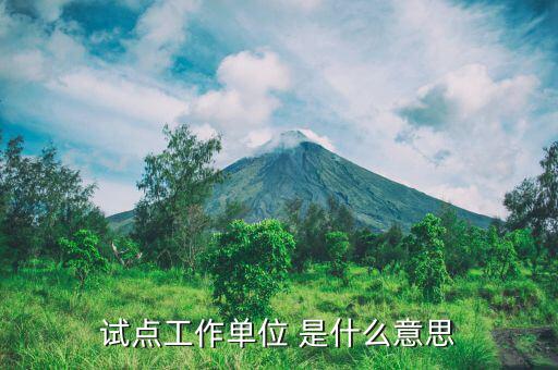 軍區(qū)采購試點(diǎn)是什么意思，試點(diǎn)是什么意思