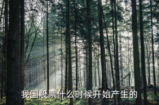股票什么時候出來的，股票是什么時候出現(xiàn)的從世界范圍看