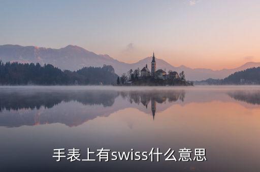 歐行手表什么意思，手表上有swiss什么意思
