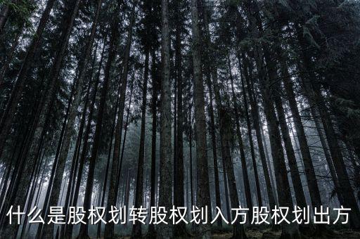 劃轉(zhuǎn)是什么意思，什么是股權(quán)劃轉(zhuǎn)股權(quán)劃入方股權(quán)劃出方